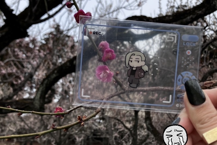 師走よりも師走月