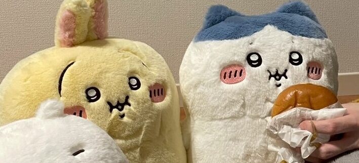 ぼっちゃり