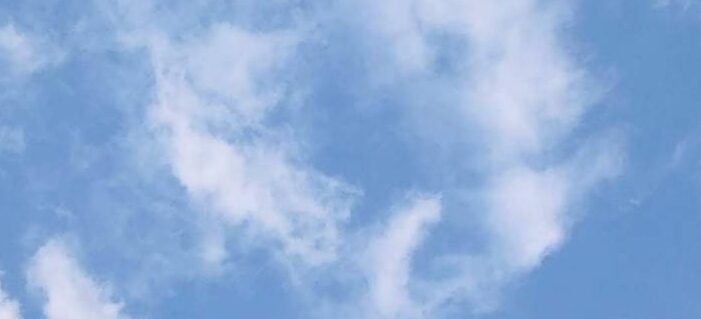 Maily¨̮⃝